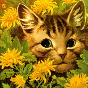 Cat in the flowerbed