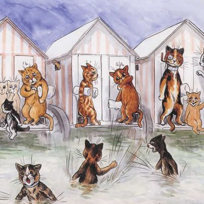 Cats at the beach