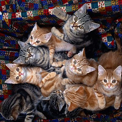 "В чём дело, а?" =)