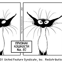 87. У тебя божья коровка в волосах