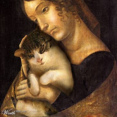 Madonna with cat