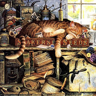 Charles Wysocki