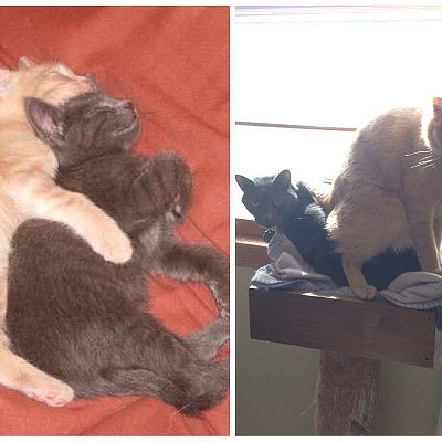 Their idea of cuddling has changed a bit in the past seven years