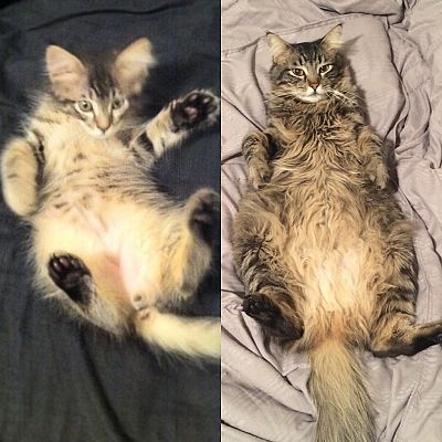 2 Months to 2 Years