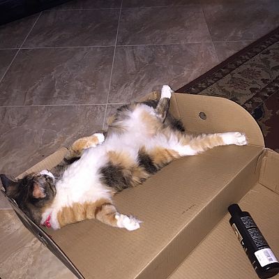 I had this box open for 5 seconds.