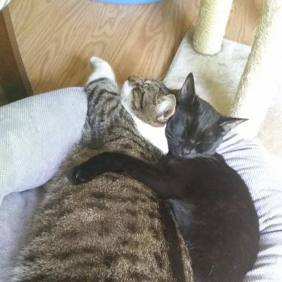 The little spoon chooses to be the big spoon.