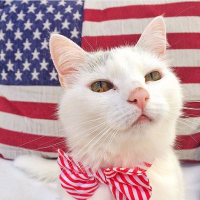 Americat