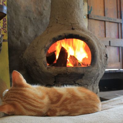 Cozy kitteh sitting in front of the fire.