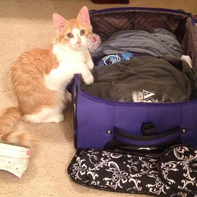 "Soooo you're taking me with you, right?"