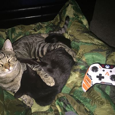 Every time I sit down to game on my console, my co-op buddies show up and get comfortable.