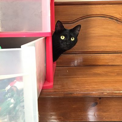 I had the drawer open for just a second.