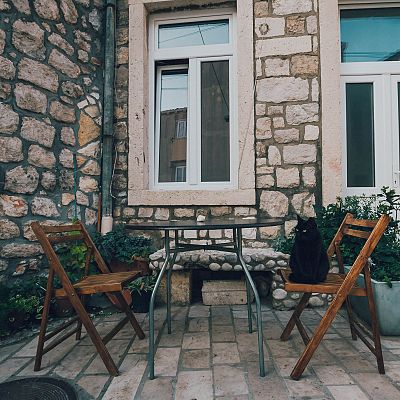 Feral Cats of Dubrovnik