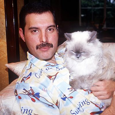 Freddie Mercury