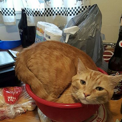 If I sorta fits... I sits