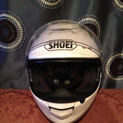 The Stig is much cuter than I expected.