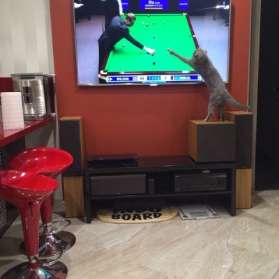 #snooker