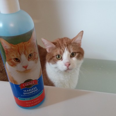 Very effective shampoo. Makes my cat look just like the one on the bottle!