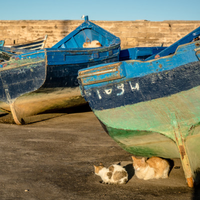 #Morocco #Essaouira