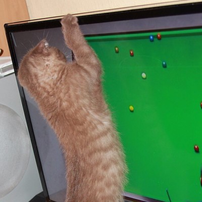 #snooker