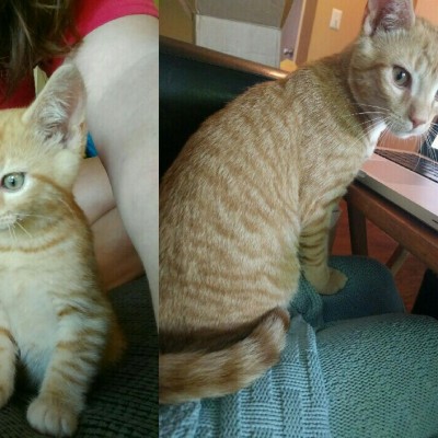 From 3 months to 5 months, he is growing like a weed.