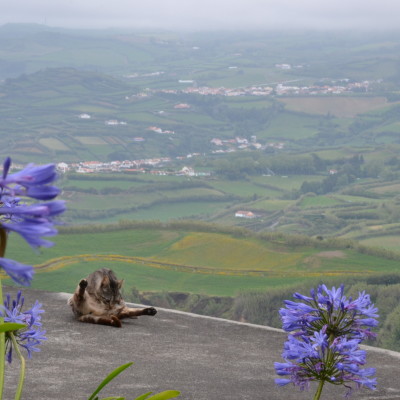 #Portugal #Azores