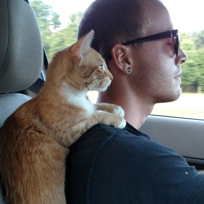 Boyfriend and our copilot floof on a road trip.