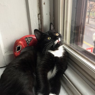 Birdwatching derp (he sat like that for five minutes)